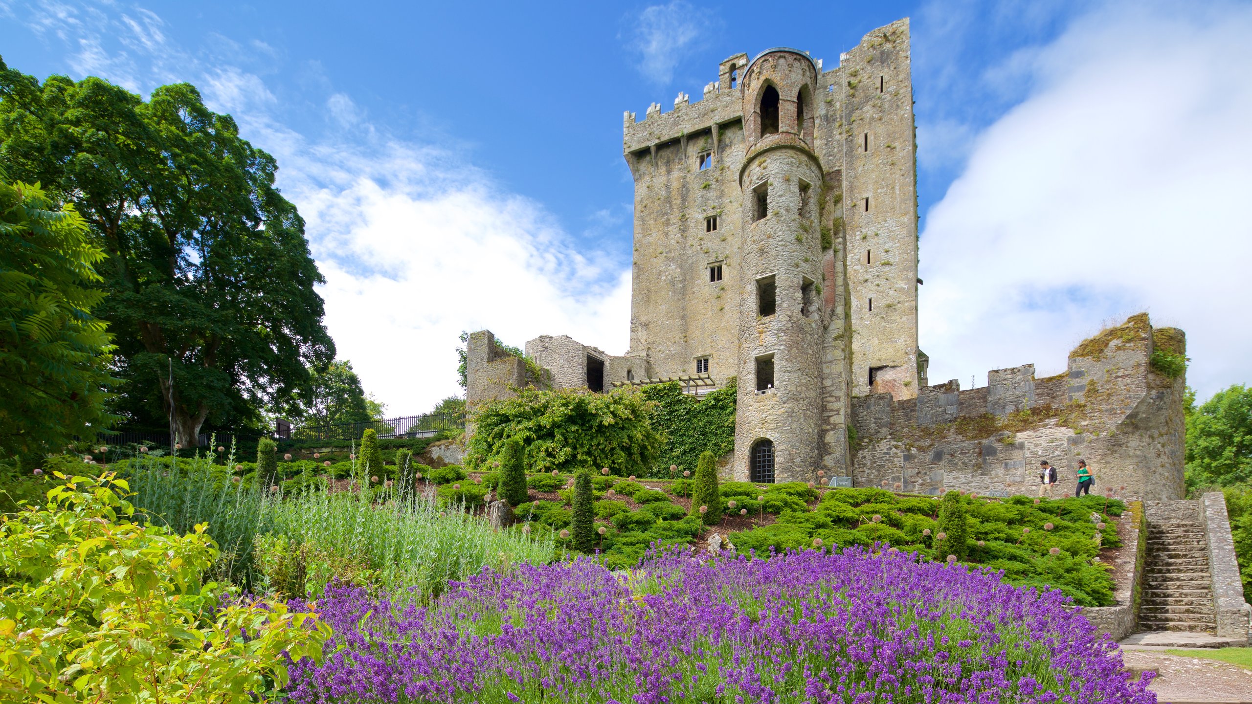 Castello di Blarney