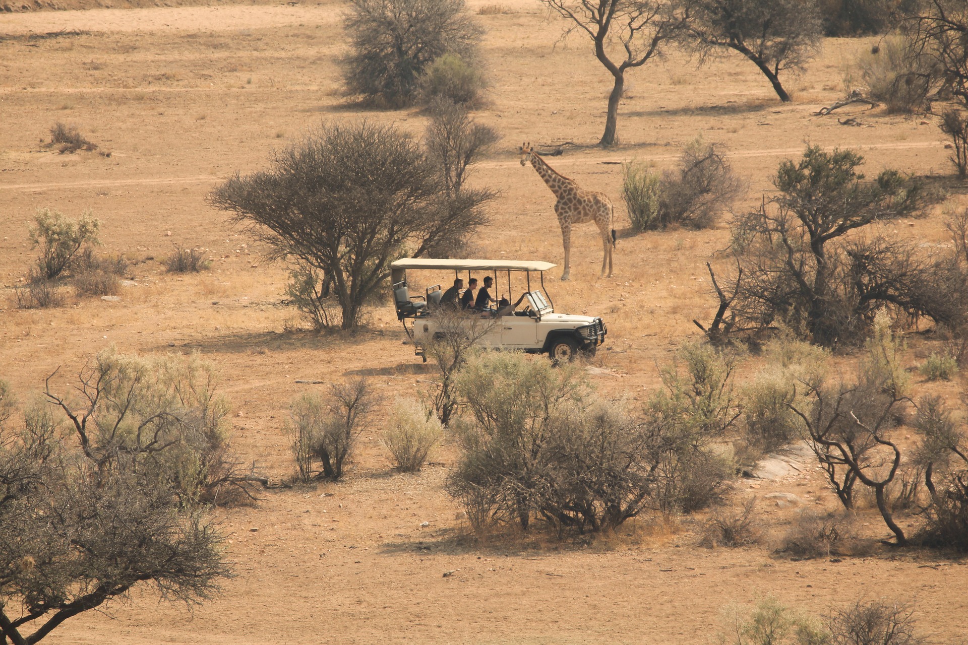 Etosha South